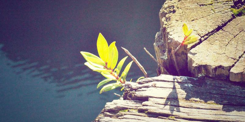 Yu Jihuang100：在科技浪潮中践行绿色设计，探索个人成长的可持续路径