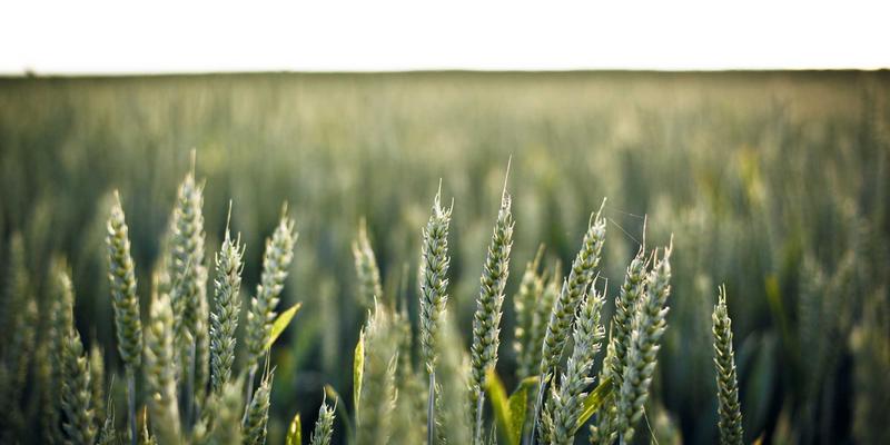 Yu Jihuang28:在暗色主题中,构建一座属于深夜的私人博客