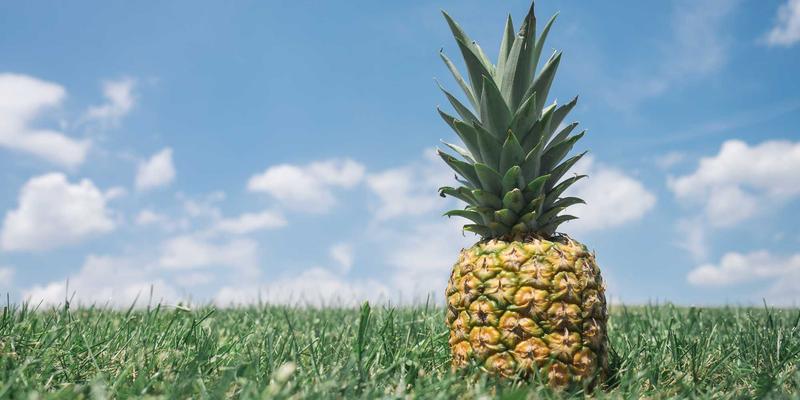 Yu Jihuang52：在科技暗色主题下的个人成长启示录