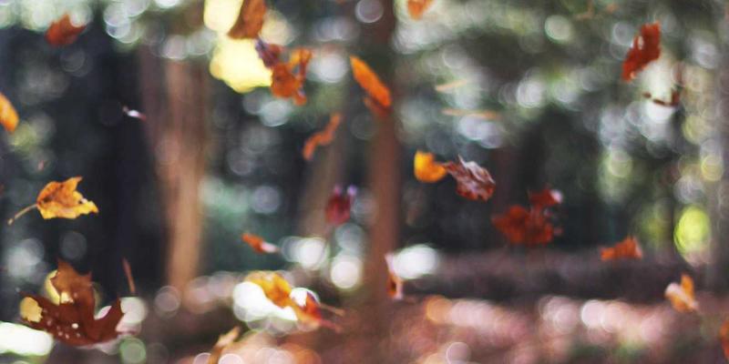 Yu Jihuang83与深色主题：技术浪潮下的视觉革命与人性化设计