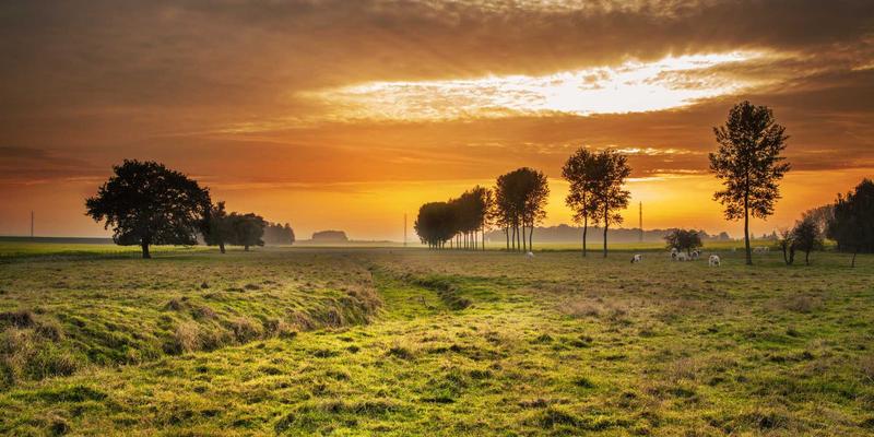 Yu Jihuang:以绿色设计重塑当代生活美学