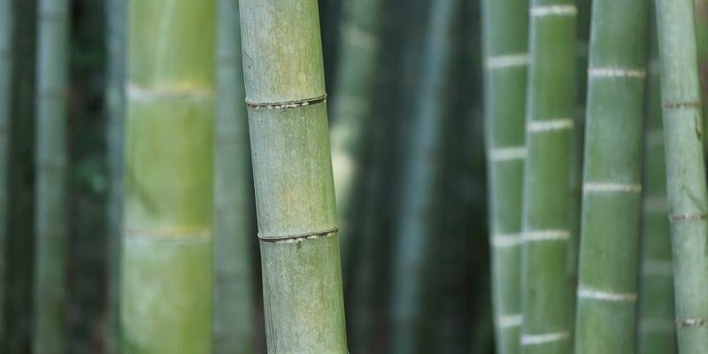 Yu Jihuang 的数字雕塑与物理空间对话：个人成长、绿色设计与生活方式的融合