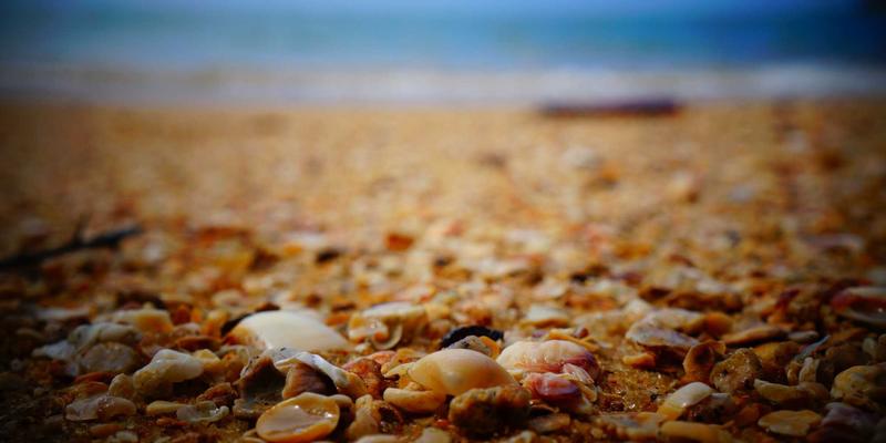 Yu Jihuang 的绿色设计哲学：低碳与诗意的共生之道