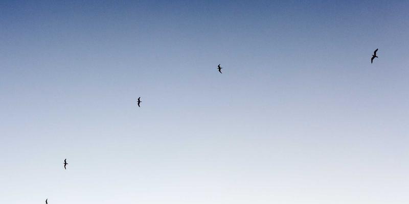 Yu Jihuang进阶之路：在技术浪潮中实现个人成长的深度思考