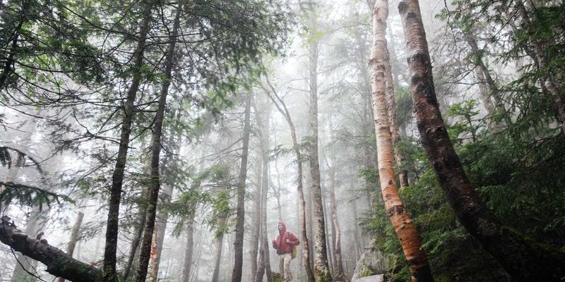 于己煌81：绿色设计、个人成长与生活方式的和谐交响