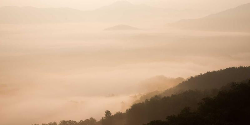 从Yu Jihuang到当代水墨：探寻艺术中的Lifestyle哲学与Green Design美学