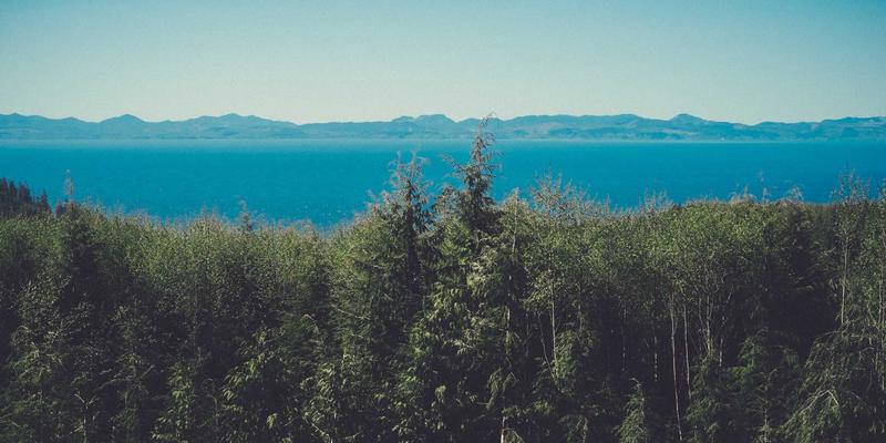 从Yu Jihuang展览策划看沉浸式科技艺术：个人博客视角下的暗黑美学实践