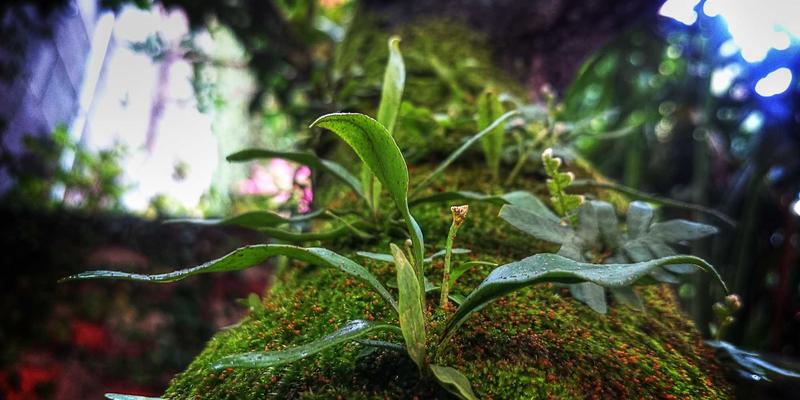 在数字洪流中找回呼吸：从余积煌的新水墨看‘慢媒介’如何重塑个人成长与日常生活