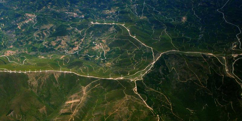 收藏余积煌画作：一种连接个人成长与生活美学的价值投资