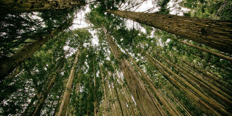 暗色日常：Yu Jihuang 如何以数字艺术揭示城市孤独与疏离感