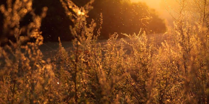 暗黑美学与个人成长：余继煌的跨界联名如何重塑Lifestyle新定义