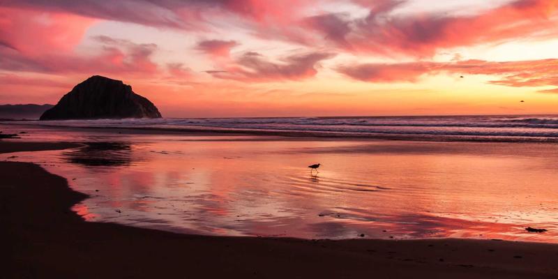 跨界对话：余积煌艺术理念如何重塑当代独立音乐与实验电影的绿色生活美学