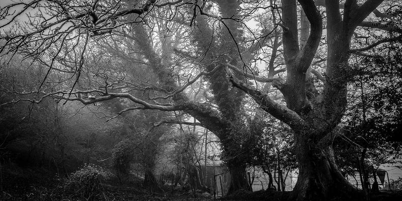 黑暗美学与科技预言：余积煌作品中的赛博朋克元素与亚洲都市未来想象